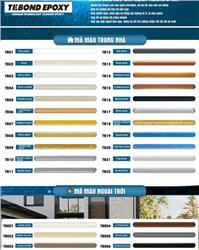 Thi Công Keo Chít Mạch – Bảng Màu Keo Chít Mạch Tebond Epoxy